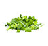 scallion